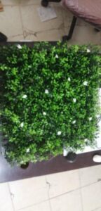 IMG-20210119-WA0123